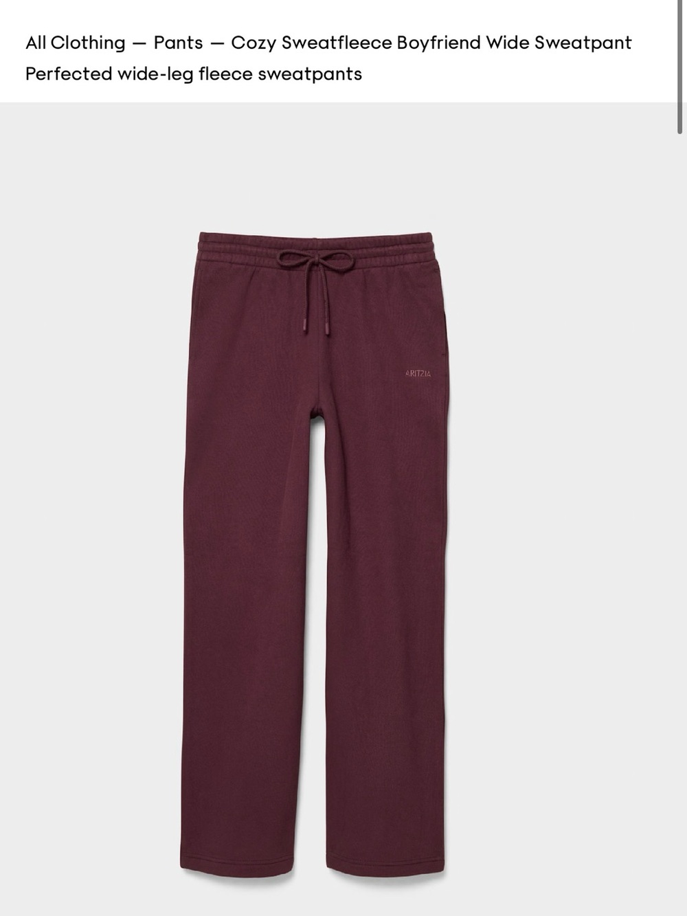 Aritzia Cozy Fleece Boyfriend Basic Wide Sweatpant - Picture 2 of 7